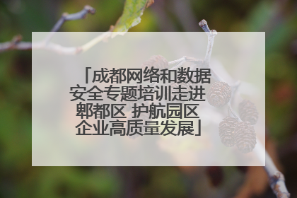 成都网络和数据安全专题培训走进郫都区 护航园区企业高质量发展