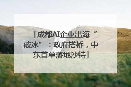 成都AI企业出海“破冰”：政府搭桥，中东首单落地沙特