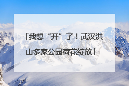 我想“开”了！武汉洪山多家公园荷花绽放