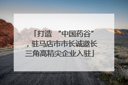 打造 “中国药谷”，驻马店市市长诚邀长三角高精尖企业入驻