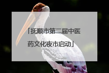 抚顺市第二届中医药文化夜市启动
