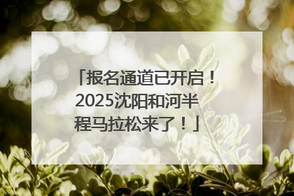 报名通道已开启！2025沈阳和河半程马拉松来了！
