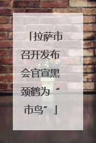 拉萨市召开发布会官宣黑颈鹤为“市鸟”