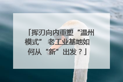 挥刃向内重塑“温州模式” 老工业基地如何从“新”出发？