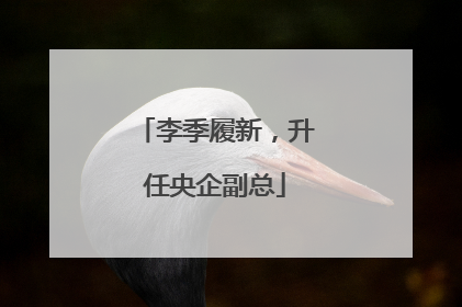 李季履新，升任央企副总