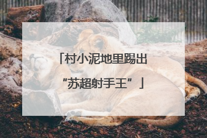 村小泥地里踢出“苏超射手王”