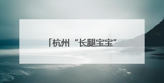 杭州“长腿宝宝”过节啦！世界长颈鹿日邂逅新生幼崽