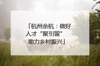 杭州余杭：做好人才“聚引留” 助力乡村振兴