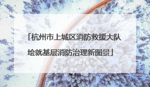 杭州市上城区消防救援大队绘就基层消防治理新图景