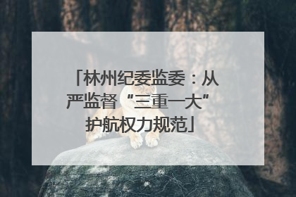 林州纪委监委：从严监督“三重一大” 护航权力规范