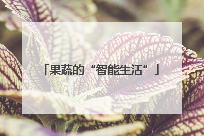 果蔬的“智能生活”