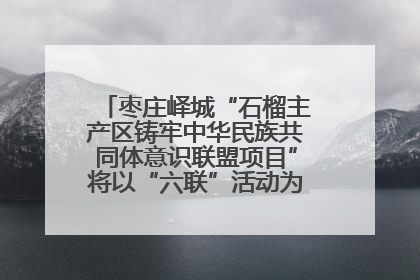 枣庄峄城“石榴主产区铸牢中华民族共同体意识联盟项目”将以“六联”活动为抓手深化品牌建设
