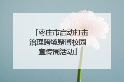 枣庄市启动打击治理跨境赌博校园宣传周活动
