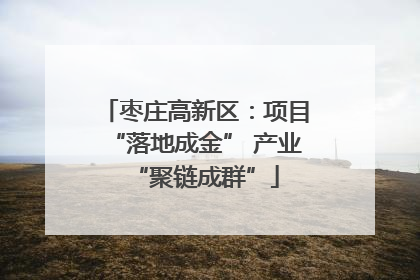 枣庄高新区：项目“落地成金” 产业“聚链成群”