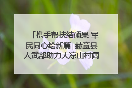 携手帮扶结硕果 军民同心绘新篇∣赫章县人武部助力大凉山村阔步乡村振兴路