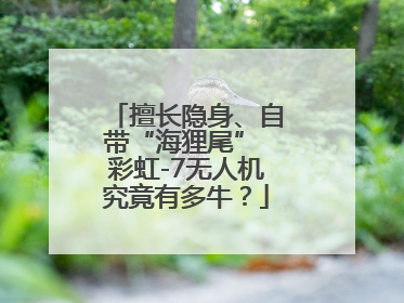 擅长隐身、自带“海狸尾” 彩虹-7无人机究竟有多牛？