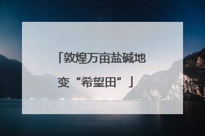 敦煌万亩盐碱地变“希望田”