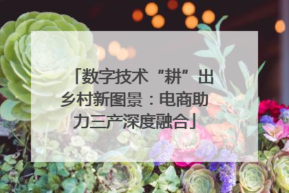 数字技术“耕”出乡村新图景：电商助力三产深度融合