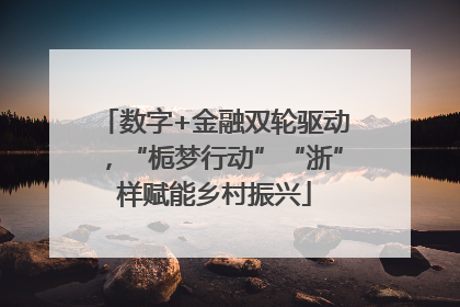 数字+金融双轮驱动，“栀梦行动”“浙”样赋能乡村振兴