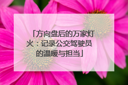 方向盘后的万家灯火：记录公交驾驶员的温暖与担当
