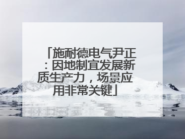 施耐德电气尹正：因地制宜发展新质生产力，场景应用非常关键