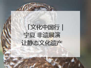 文化中国行｜宁夏 非遗展演让静态文化遗产“活”起来