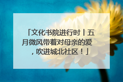 文化书院进行时丨五月微风带着对母亲的爱，吹进城北社区！