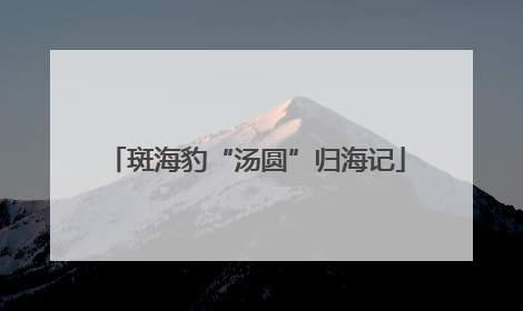 斑海豹“汤圆”归海记