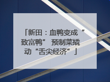 新田：血鸭变成“致富鸭” 预制菜撬动“舌尖经济”