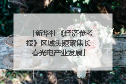 新华社《经济参考报》区域头题聚焦长春光电产业发展