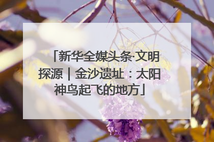 新华全媒头条·文明探源｜金沙遗址：太阳神鸟起飞的地方