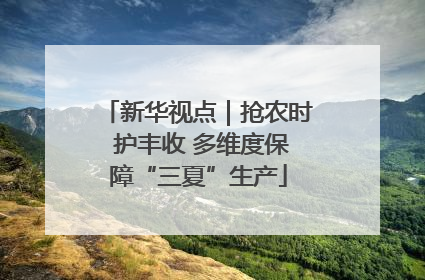 新华视点｜抢农时 护丰收 多维度保障“三夏”生产