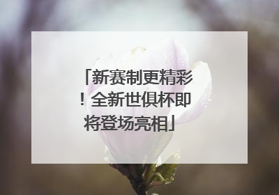 新赛制更精彩！全新世俱杯即将登场亮相
