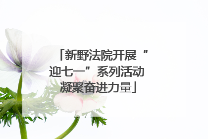 新野法院开展“迎七一”系列活动 凝聚奋进力量
