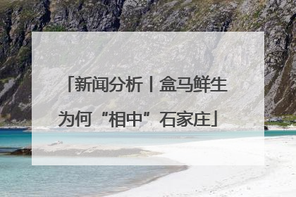 新闻分析丨盒马鲜生为何“相中”石家庄