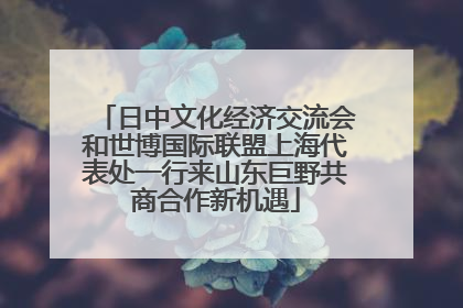 日中文化经济交流会和世博国际联盟上海代表处一行来山东巨野共商合作新机遇