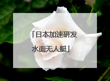 日本加速研发水面无人艇