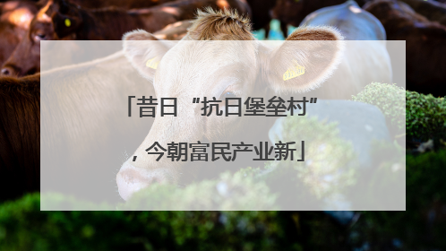 昔日“抗日堡垒村”，今朝富民产业新
