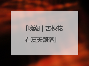 晚潮｜苦楝花在夏天飘落