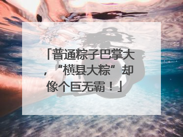 普通粽子巴掌大，“横县大粽”却像个巨无霸！