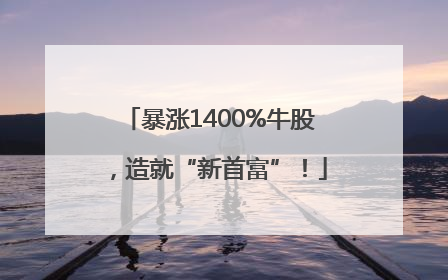 暴涨1400%牛股，造就“新首富”！