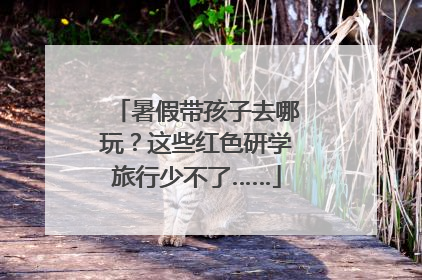 暑假带孩子去哪玩？这些红色研学旅行少不了……