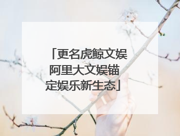 更名虎鲸文娱 阿里大文娱锚定娱乐新生态
