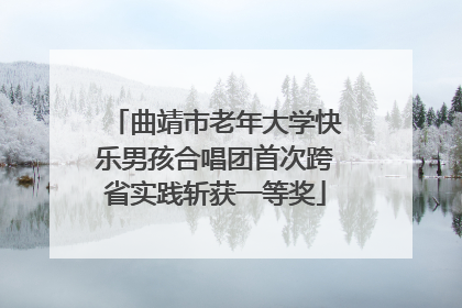 曲靖市老年大学快乐男孩合唱团首次跨省实践斩获一等奖