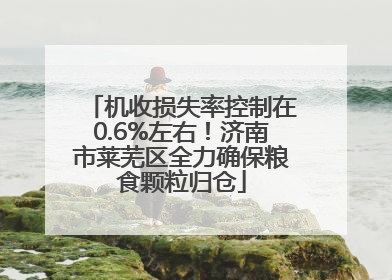 机收损失率控制在0.6%左右！济南市莱芜区全力确保粮食颗粒归仓