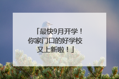 最快9月开学！你家门口的好学校又上新啦！