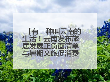 有一种叫云南的生活！云南发布旅居发展正负面清单与暑期文旅促消费“组合拳”