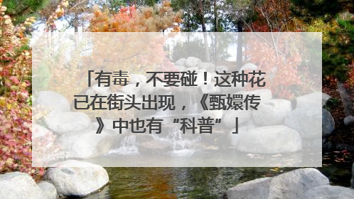 有毒，不要碰！这种花已在街头出现，《甄嬛传》中也有“科普”