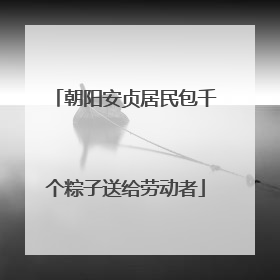 朝阳安贞居民包千个粽子送给劳动者
