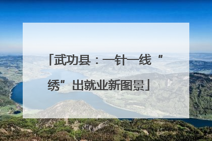 武功县：一针一线“绣”出就业新图景